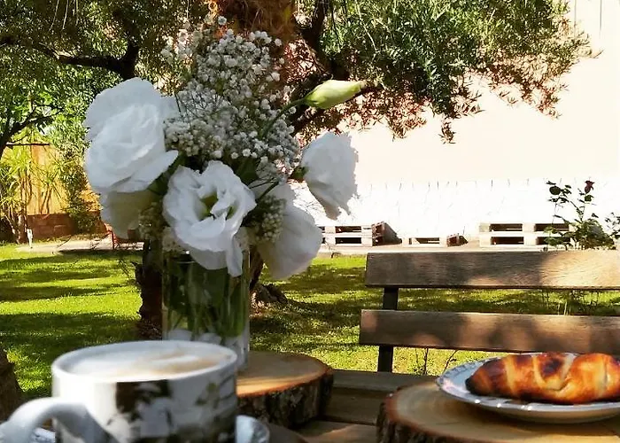 Alojamento de Acomodação e Pequeno-almoço Papa House Santa Domenica Talao