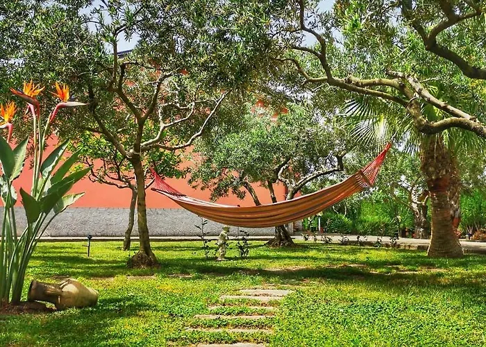 Papa House Alojamento de Acomodação e Pequeno-almoço